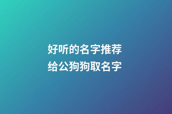 好听的名字推荐 给公狗狗取名字